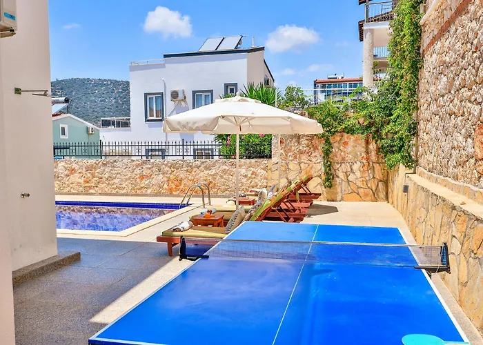 فيلة Buse Kalkan كاس