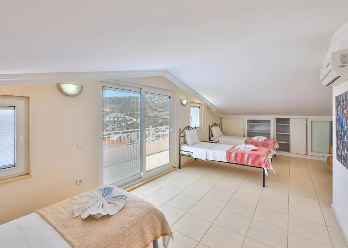 فيلة Buse Kalkan كاس