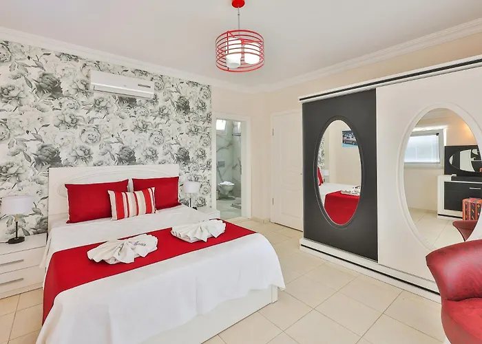 فيلة Buse Kalkan كاس