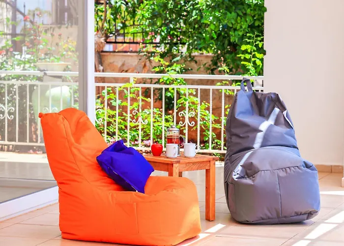 فيلة Buse Kalkan كاس